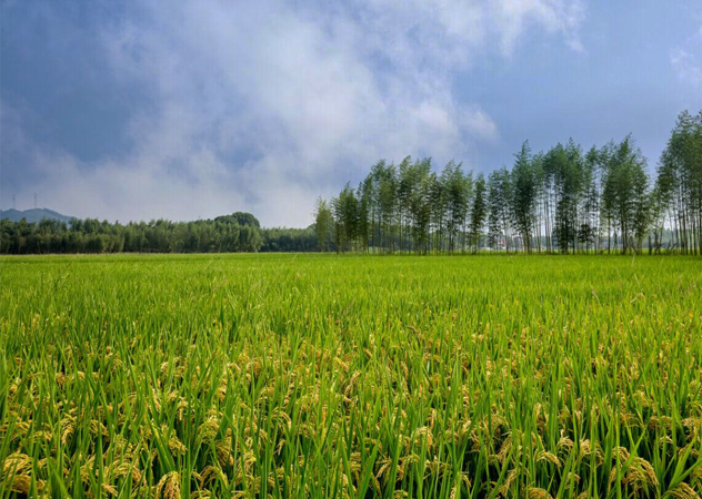 北海專業土壤監測哪有