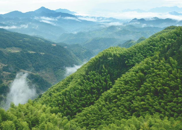 南昌專業空氣廢氣檢測哪有